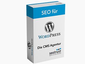Wordpress SEO Optimierung